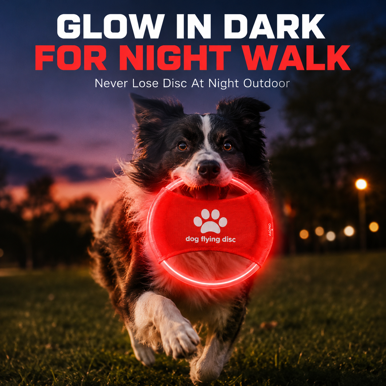 Frisbee Freestyle Disc - LED Glow Dog Flying Disc USB