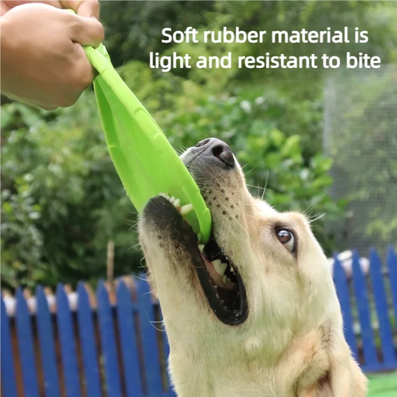 Multicolor Silicone Dog Frisbe - Frisbee Freestyle Disc review and price