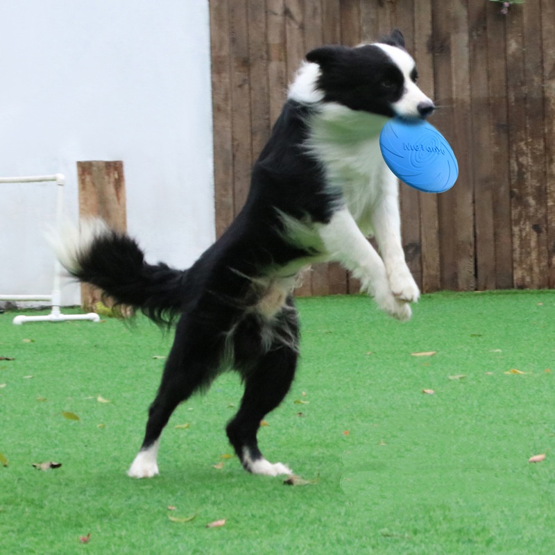 Multicolor Silicone Dog Frisbe - Frisbee Freestyle Disc review and price