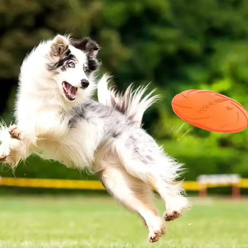 Flying Disc Soft Rubber Pet Fr - Frisbee Freestyle Disc review and price