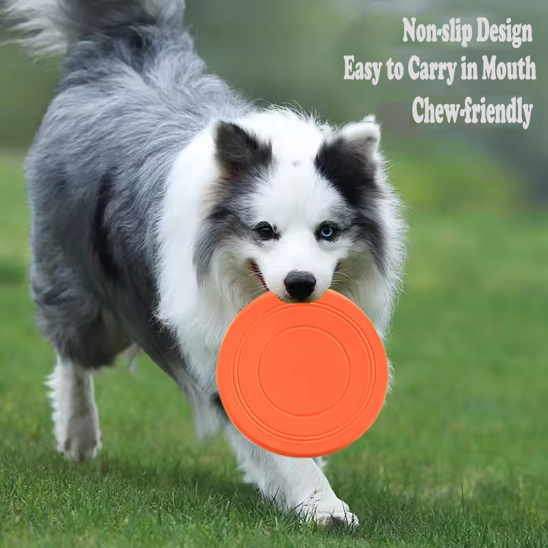 Durable Soft Dog Flying Disc F - Frisbee Freestyle Disc review and price