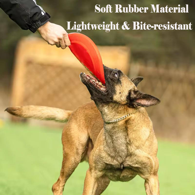 Durable Soft Dog Flying Disc F - Frisbee Freestyle Disc review and price