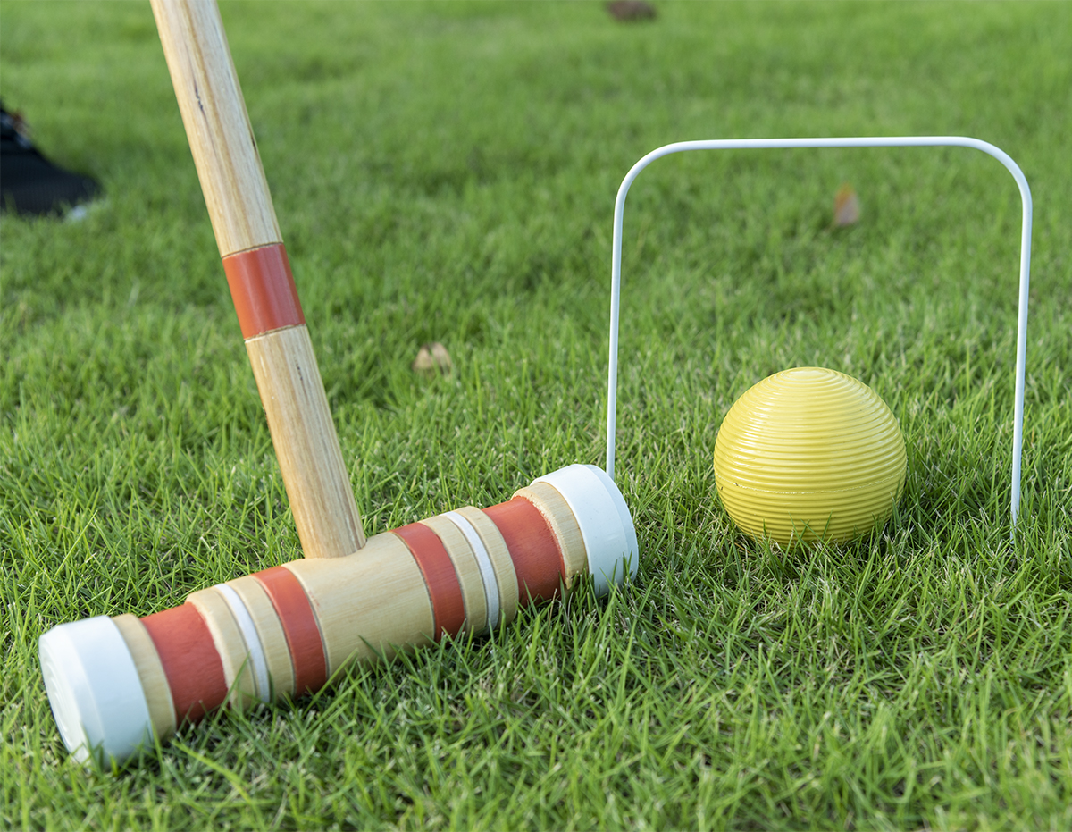 Six-Player Croquet Set with Wo - Croquet Set Lawn review and price