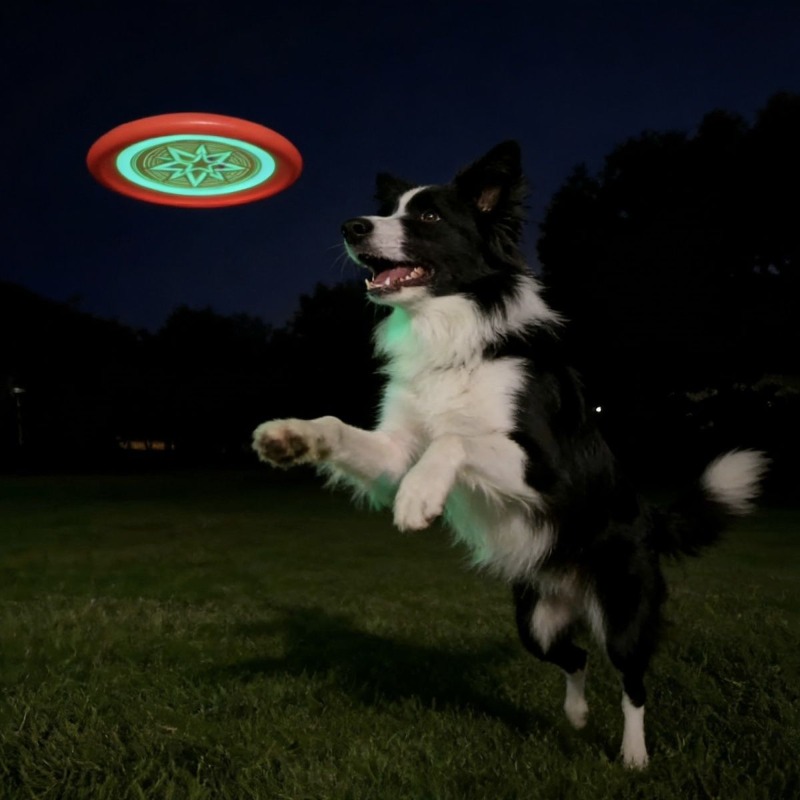 Glow in the Dark Dog Frisbee,  - Frisbee Freestyle Disc review and price