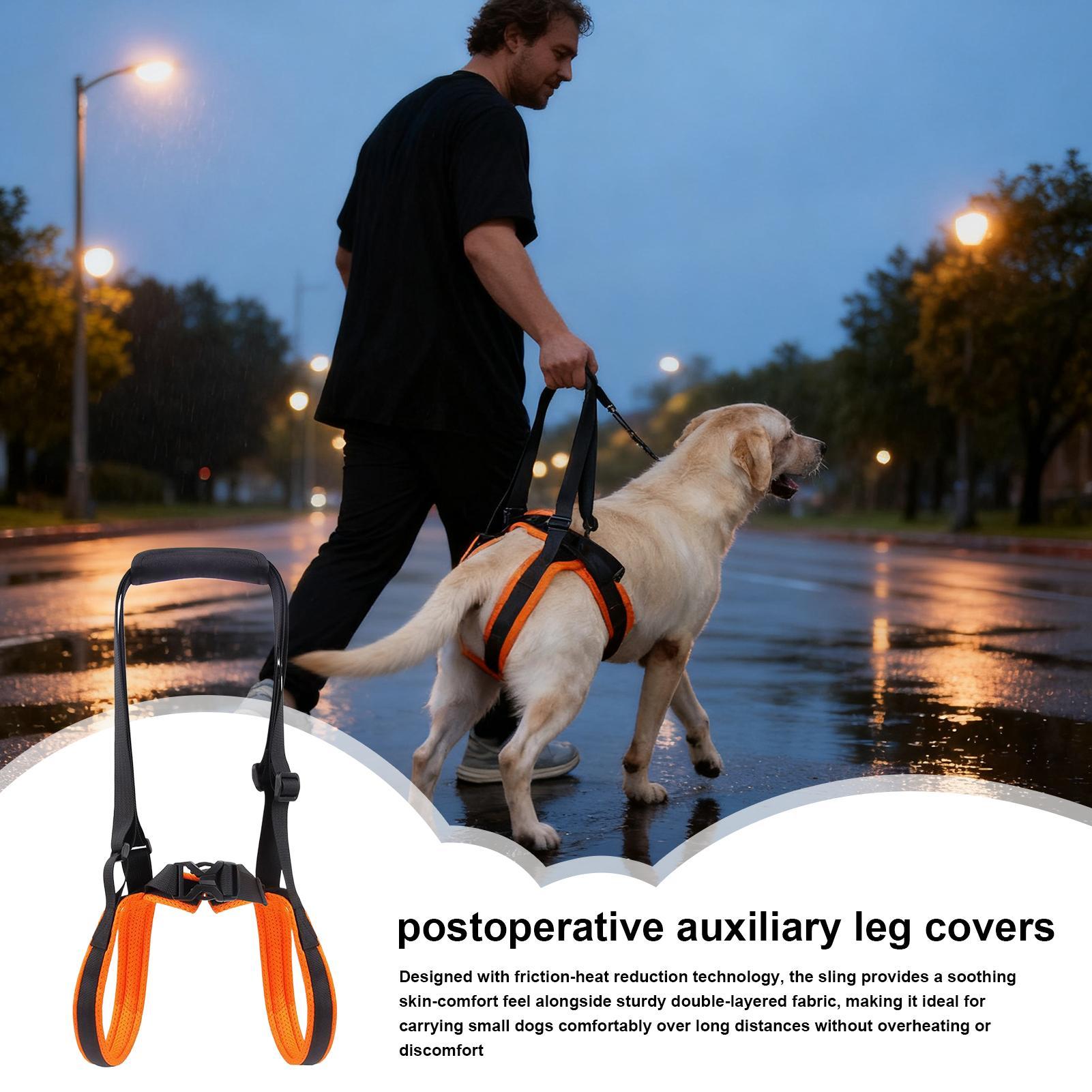 Dog Lift Harness Adjustable St - Ladder Toss Set review and price