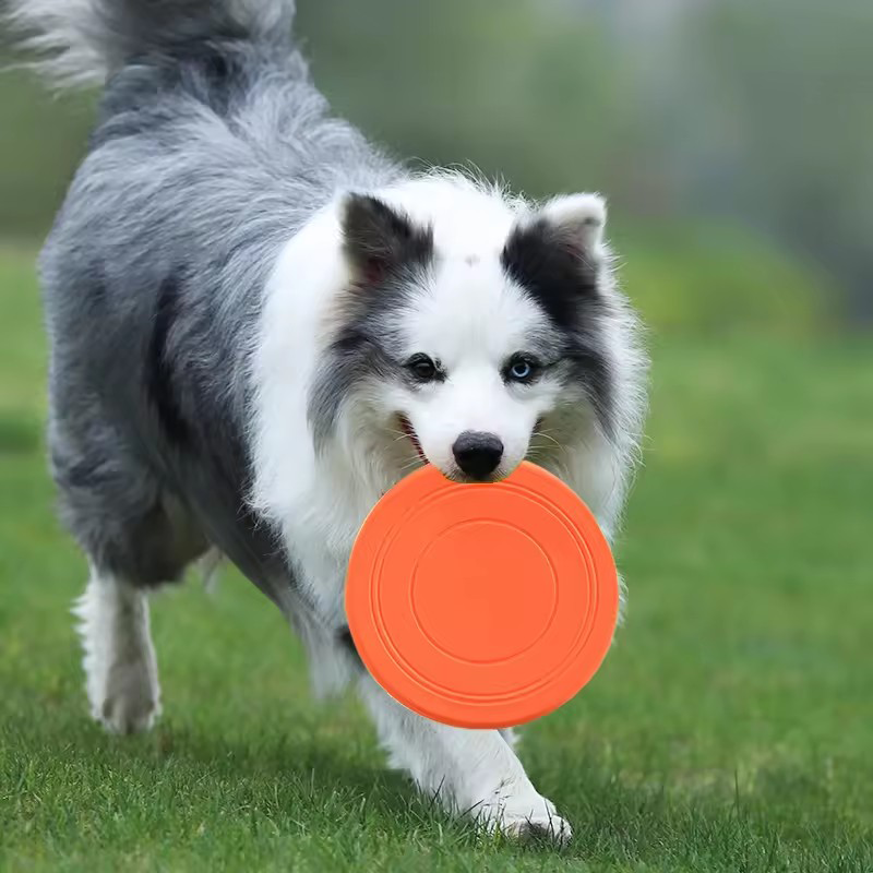 Durable Chewable Pet Training  - Frisbee Freestyle Disc review and price