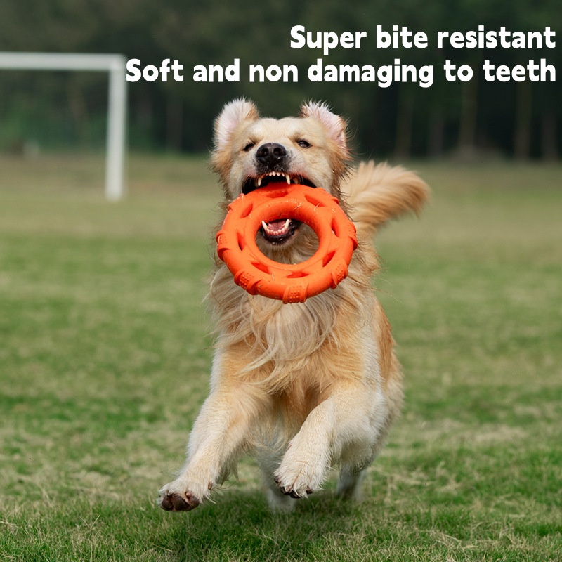 3 in 1 Floating Dog Frisbee Tu - Frisbee Freestyle Disc review and price